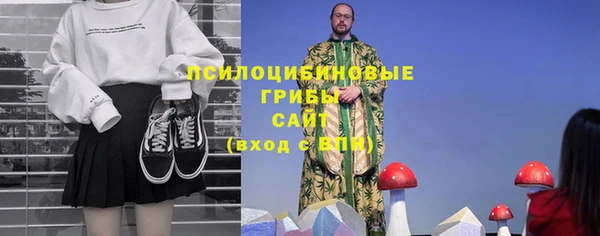 прущая мука Богородицк