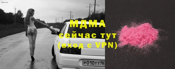 индика Богданович