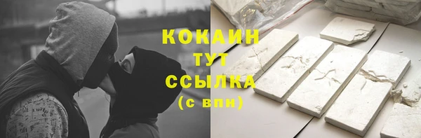 индика Богданович