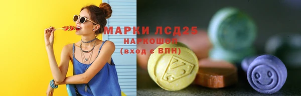индика Богданович