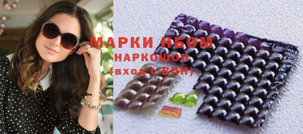 индика Богданович