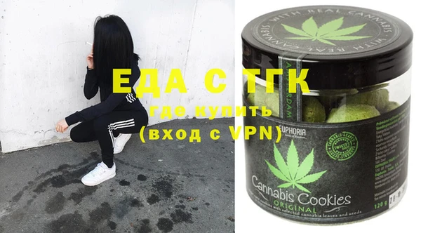 индика Богданович