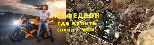 индика Богданович