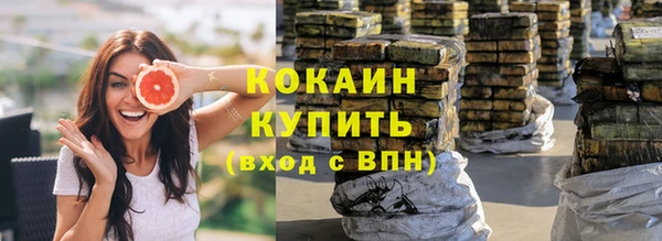 индика Богданович