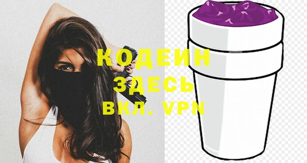 индика Богданович
