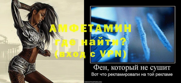 индика Богданович