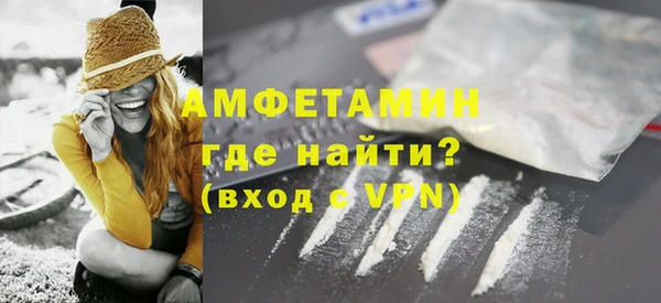 индика Богданович