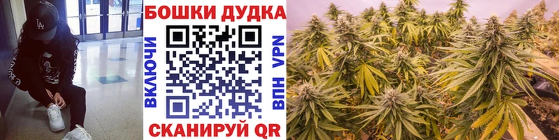 Купить  Очёр  Конопля гибрид 